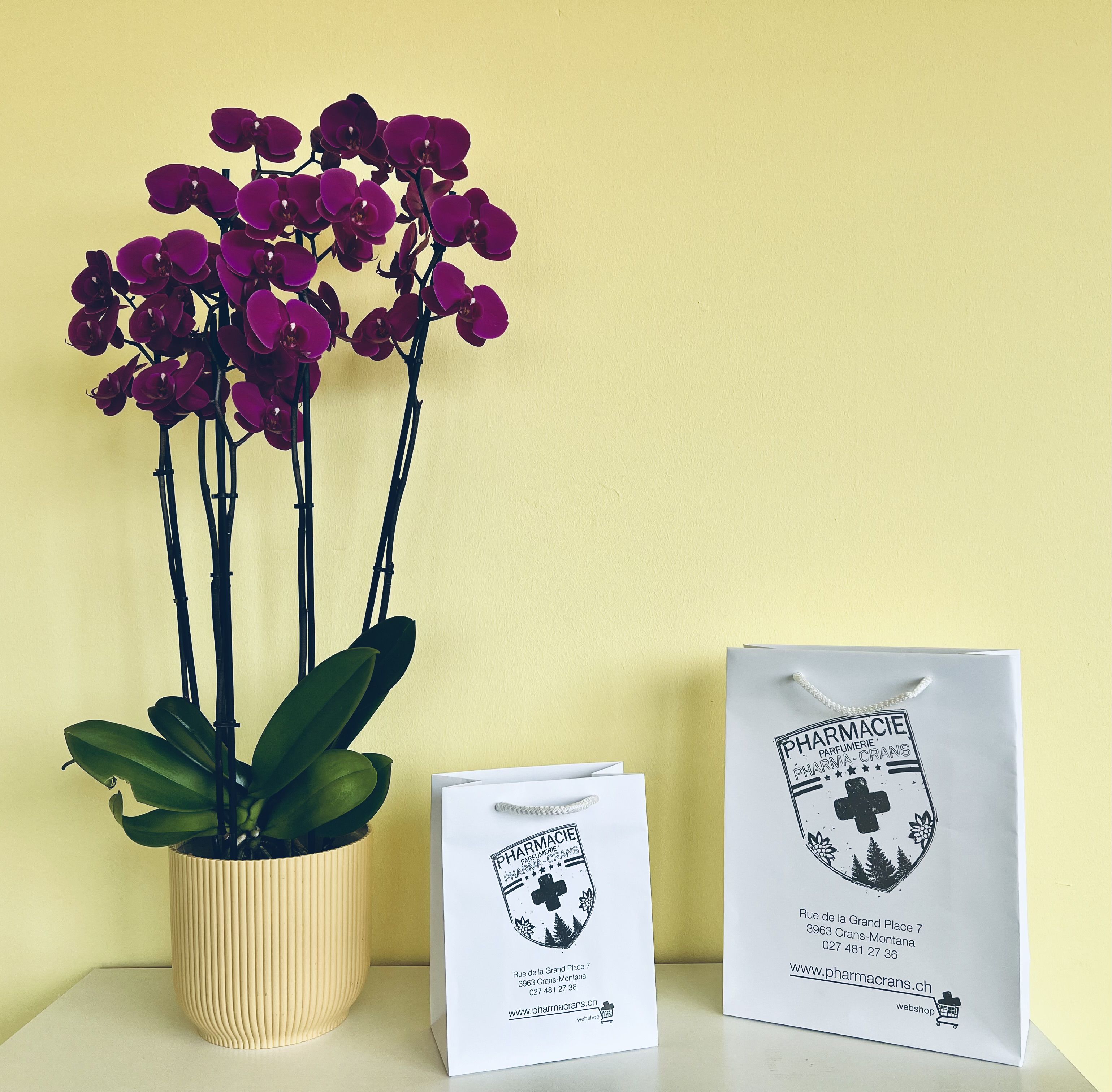 Odoo- Echantillon n° 3 pour trois colonnes
