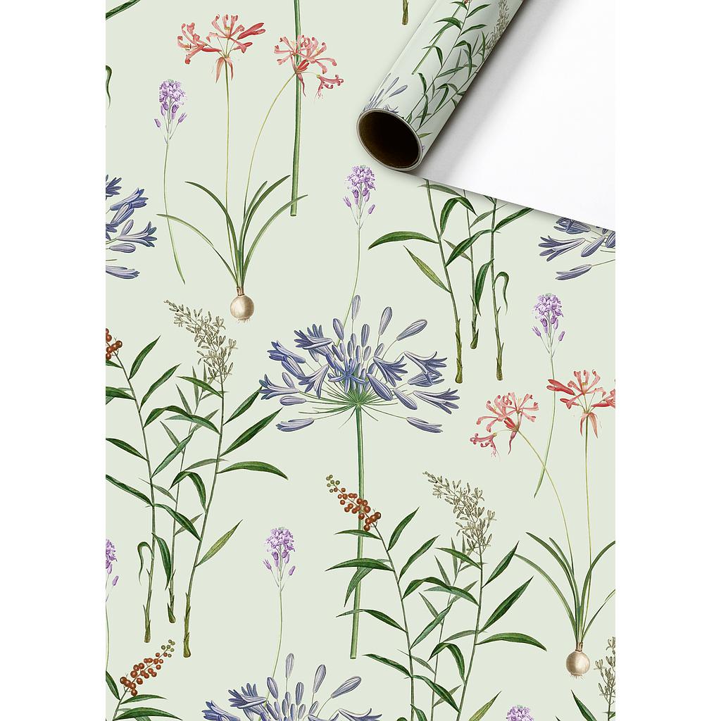 Papiers cadeau - Petits rouleaux