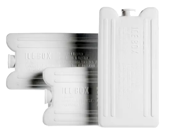 [2067] Packs réfrigérants (Bloc | 168 x 85 x 24 mm | 5 pces)