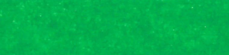 Papier de soie • couleur | 50 x 70 cm