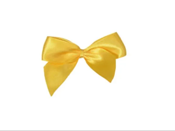 Schleifen • Satin relax | 25 x 80 mm