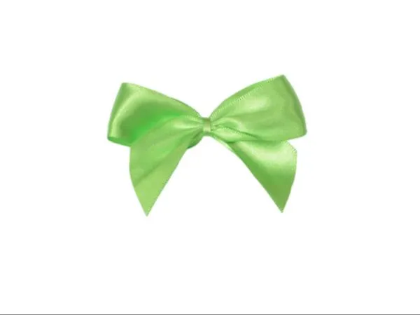 Schleifen • Satin relax | 25 x 80 mm