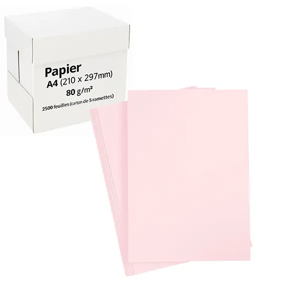 [2218] Papier • Couleur | 80 g/m² (A4 | 210 x 297 mm | 2'500 pces, Rose pastel)