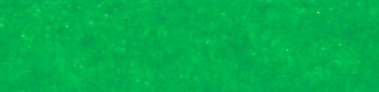 Carta velina di colore 50 x 70 cm (104 fogli)